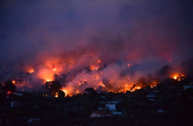 Grave pericolosita' per gli incendi boschivi